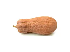 Franchi Butternut-Kürbiskernsamen mit rauer Schale - Franchi