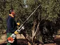 Scuotitore professionale SP 401 - Stihl