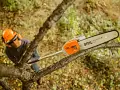Potatore a batteria HTA 65 - Stihl