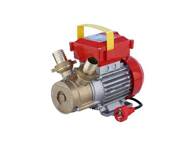 Rover Selbstansaugende Elektropumpe 30 CE - ROVER