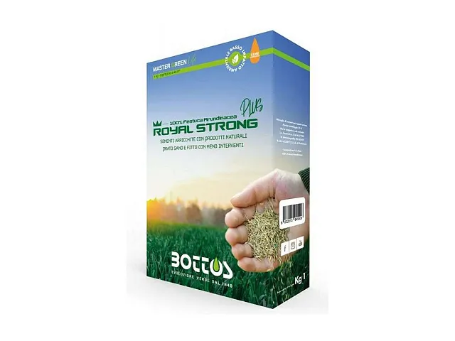 Bottos Semilla para césped festuca arundinacea ROYAL STRONG PLUS