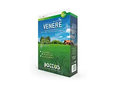 Bottos Semilla para césped zonas dañadas VENUS - BOTTOS