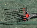 Abbacchiatore elettrico VERTIGO CARBON 12 V - Castellari