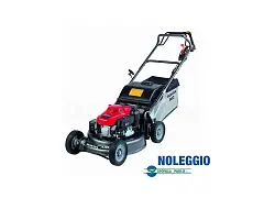 Noleggio Honda Rasenmäher 536 - VERMIETUNG
