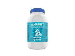 Manica Algaecide for Pools ALGUINET - Sleeve
