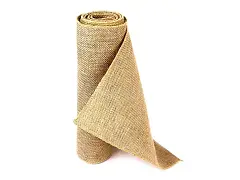 Sborgia 