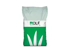 Dlf Samen des Inkarnatklee-Sorte Bolsena - DLF