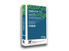 Haifa 