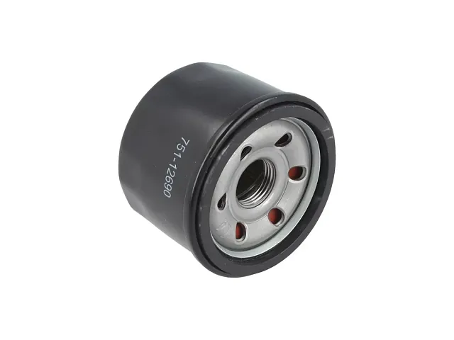 Cub cadet Ölfilter für Rasentraktor XT1 OS96, XT1 OS107, XT1 OR95, XT1 OR106, XZ5 L127