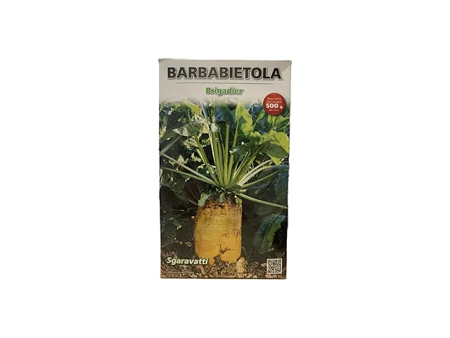 Sgaravatti Yellow Beetroot Seed Brigadier - Sgaravatti