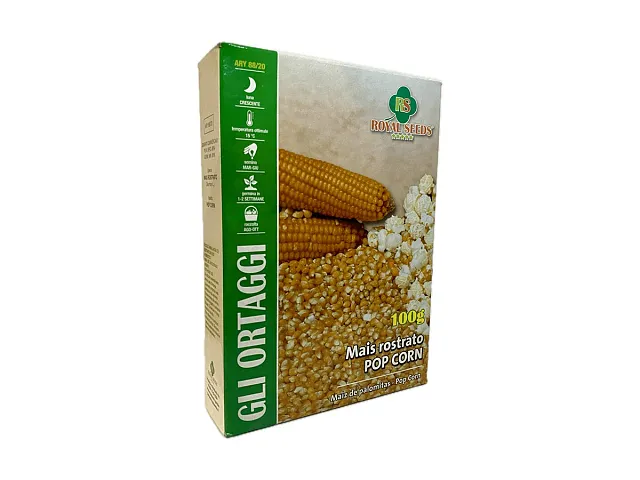 Royal seeds Rostrated Corn Seed POP CORN - Royal Seeds