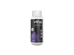 Vithal expert Kräftigende weiche Seife - Vithal Expert
