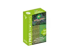 Royal seeds Semilla para césped Loietto Perenne Regenerante - Royal Seeds