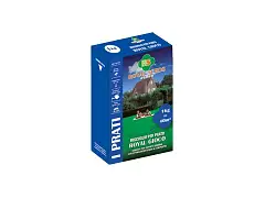 Royal seeds Rasensamen Royal Gioco - Royal Seeds