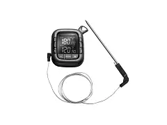 Fontana Termometro digitale