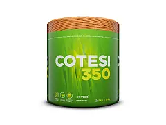 Cotesi 