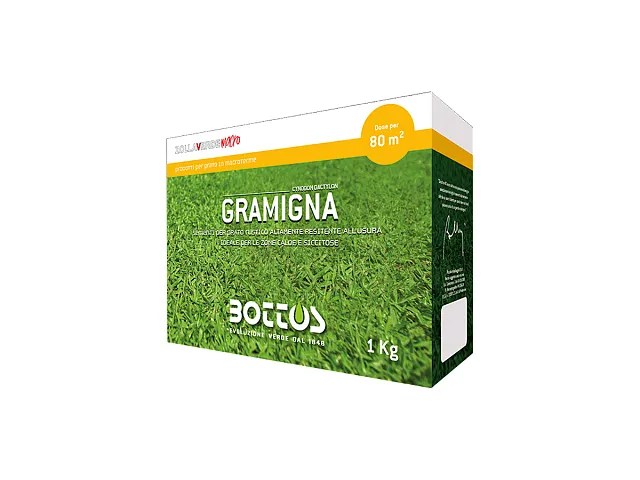 Bottos Saatgut für Rasen GRAMIGNA