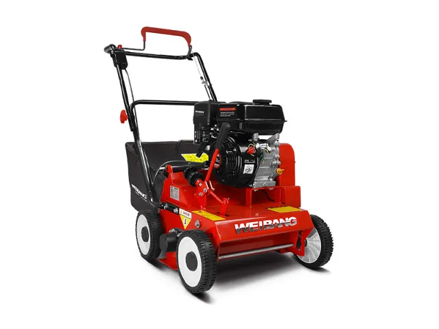 Weibang Arieggiatore WB384RC