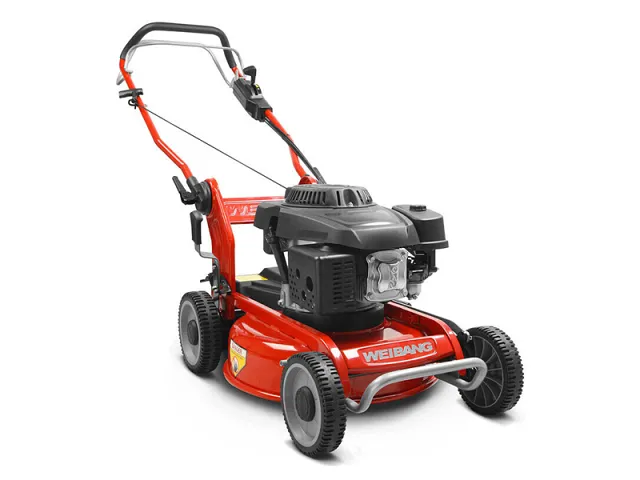 Weibang Rasaerba semovente con trasmissione monomarcia WB466SCM
