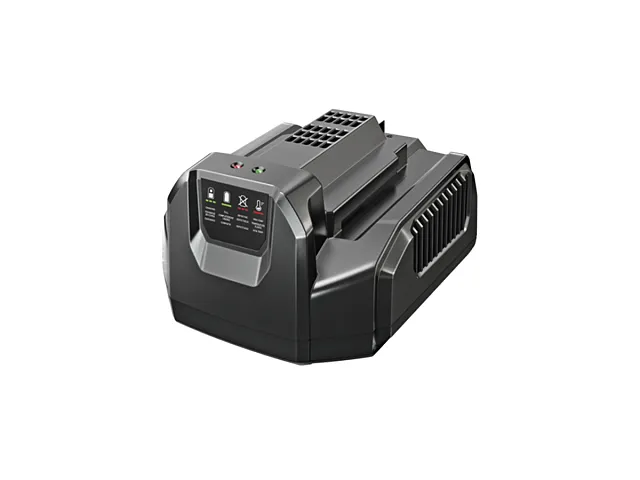 Ego Caricabatterie Standard CH2100E