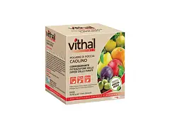 Vithal bio Polvo de roca CAOLÍN