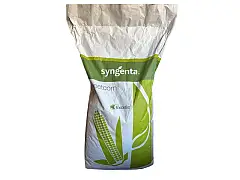 Syngenta Semillas de maíz SWEET CORN Zea Mays L. variedad GSS8529