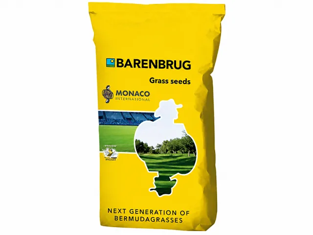 Barenbrug Seme per prato MONACO BERMUDAGRASS