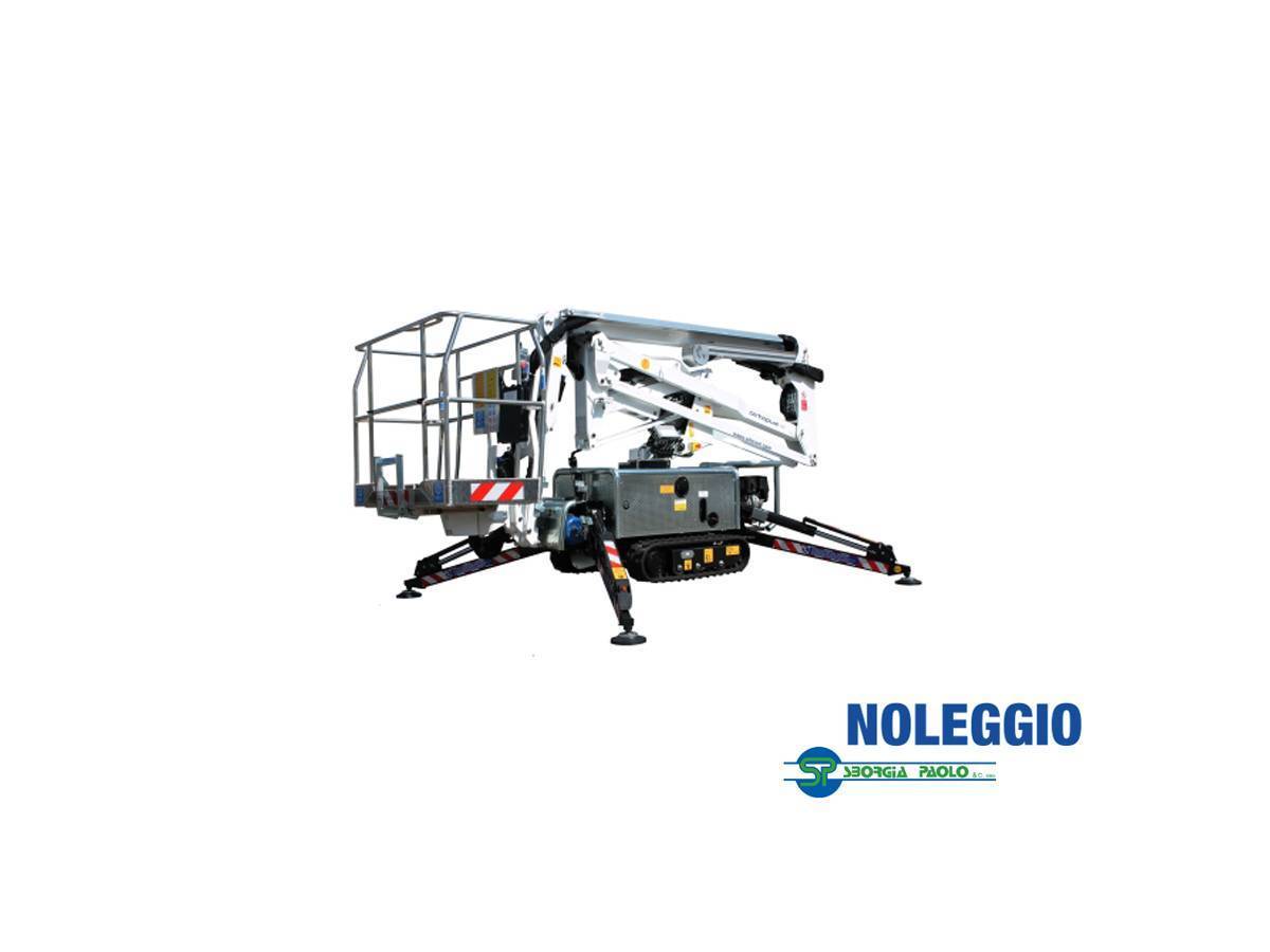 RagnoOCTOPUSSYpiattaformacingolata NOLEGGIO