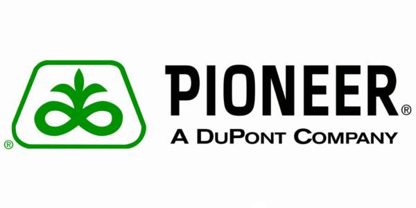 Pioneer è la più importante azienda italiana nella selezione, produzione e vendita di sementi per l’agricoltura professionale.