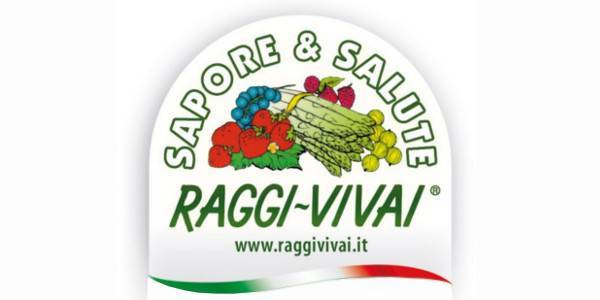 Produce piante di fragola per l'agricoltore professionista.