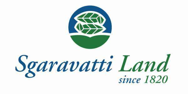Progettazione e Realizzazione parchi e giardini.