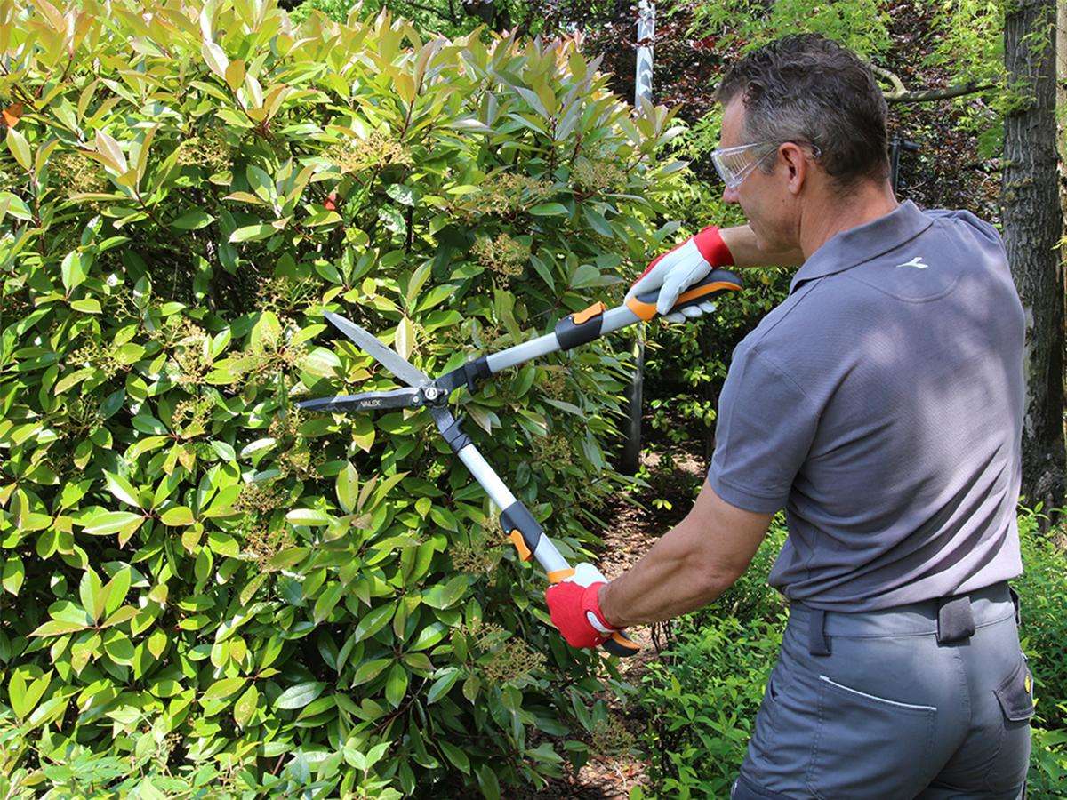 6 Piedi Albero Pole Potatore Manuale Rami Trimmer Albero Ramo - Foto 9