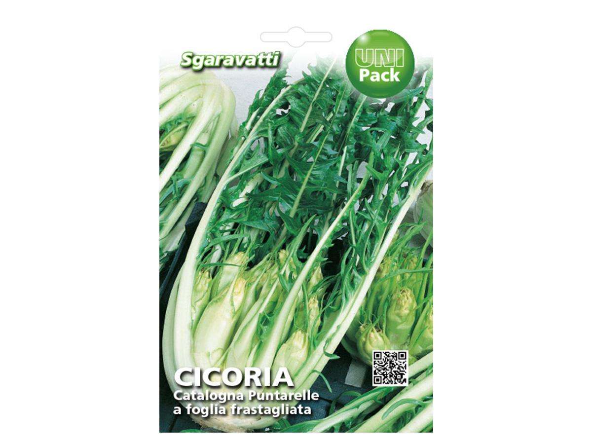 Semedicicoriacatalognapuntarelleafogliafrastagliata Sgaravattifronte