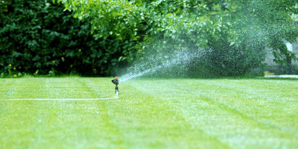 larte di innaffiare il giardino