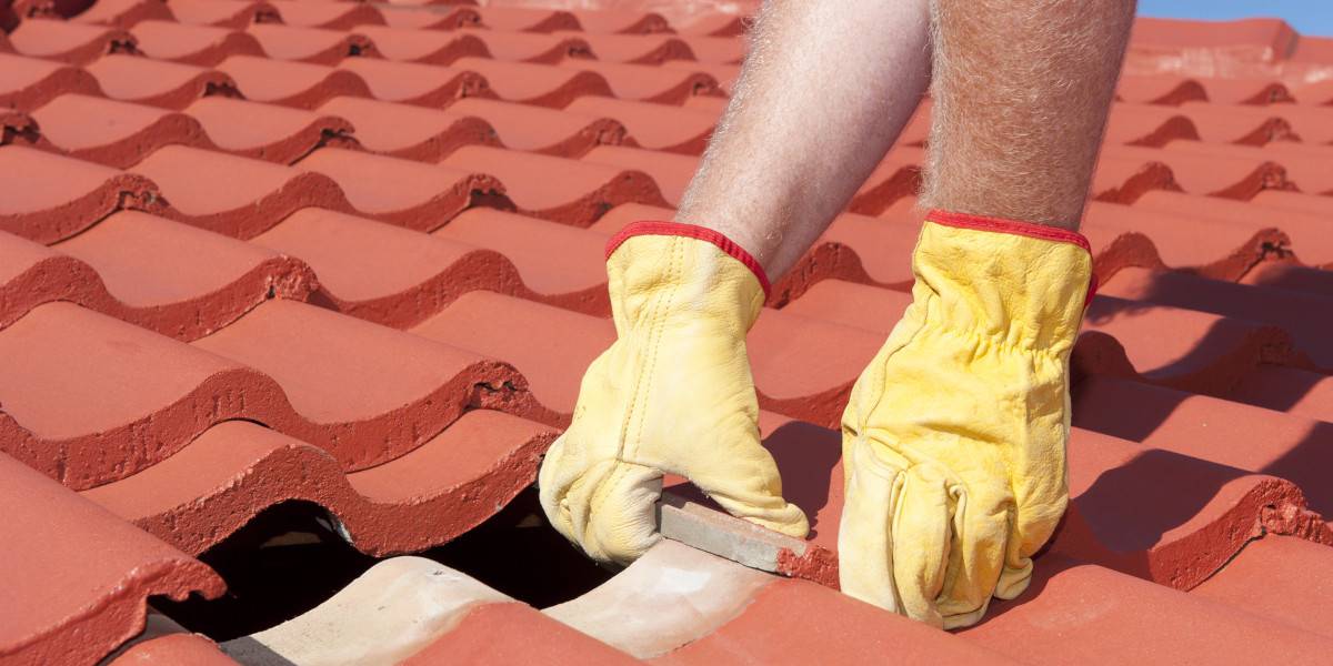 riparazione del tetto fai da te  riparazioni che puoi forse fare da solo