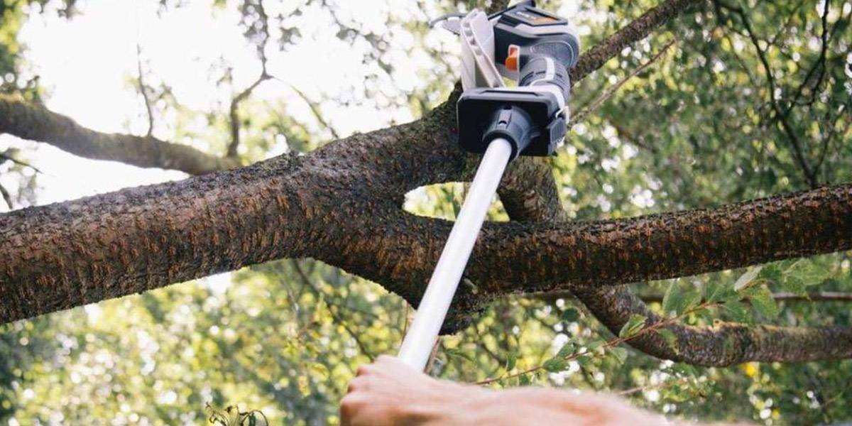 I migliori strumenti per sistemare il tuo giardino  i migliori potatori di altezza da giardino