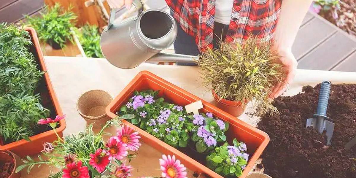 I migliori strumenti per sistemare il tuo giardino  Foto Catturata il    alle