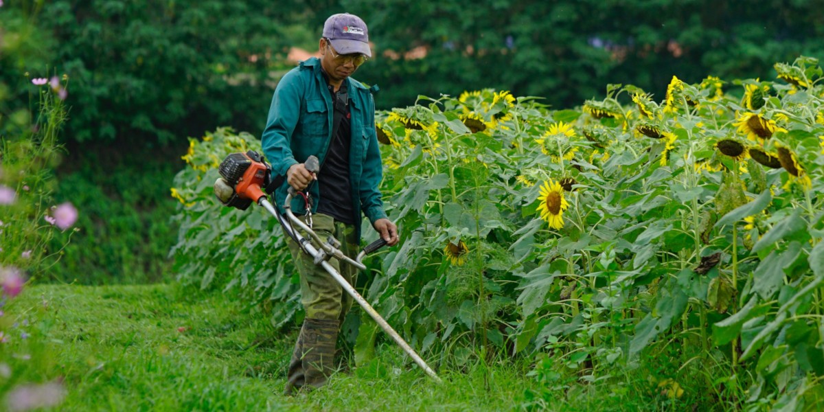 guida ferramenta tecniche di giardinaggio come usare il decespugliatore