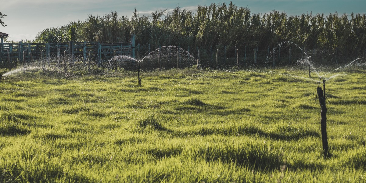 Guida Ferramenta Piccoli e grandi giardini sistema di irrigazione automatizzato